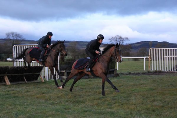 lhfviewsridingjan13th11021web-w600-1