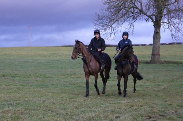 lhfviewsridingjan13th11030web-w600-1